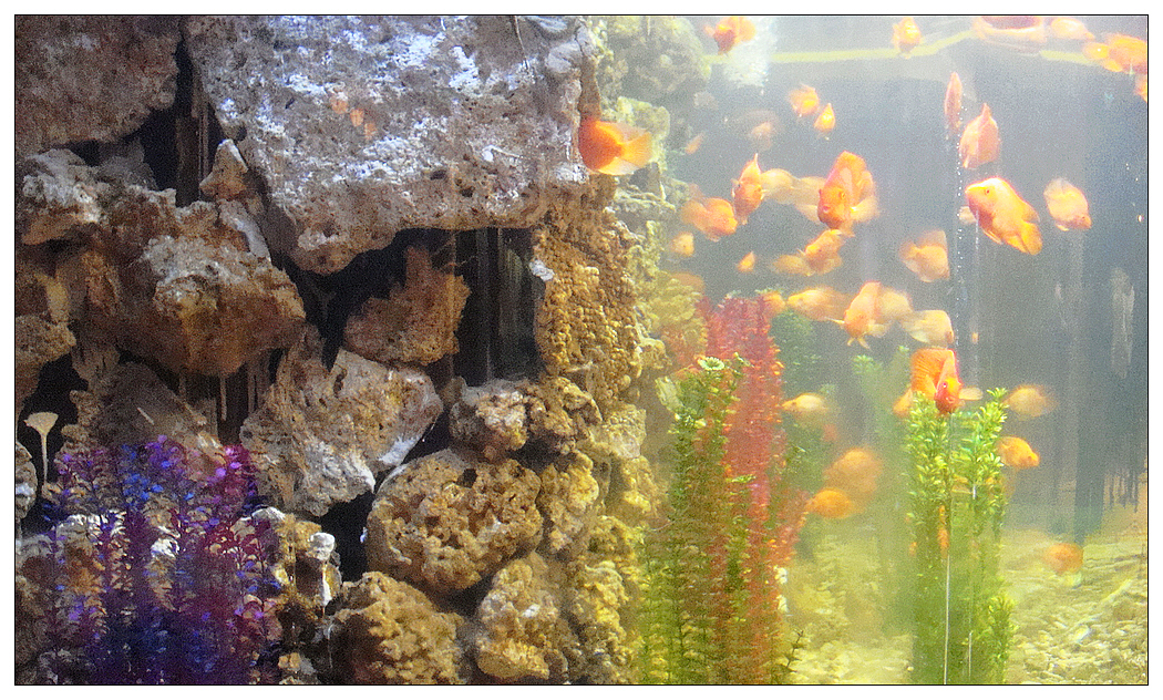 这里看起来就朦胧了