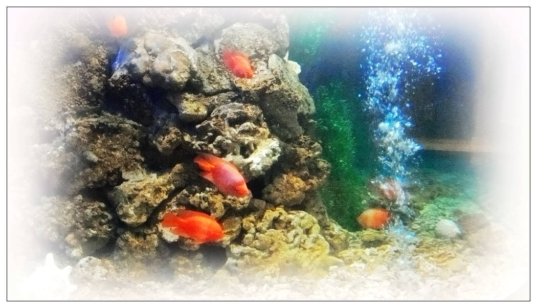 这个角度还比较清晰