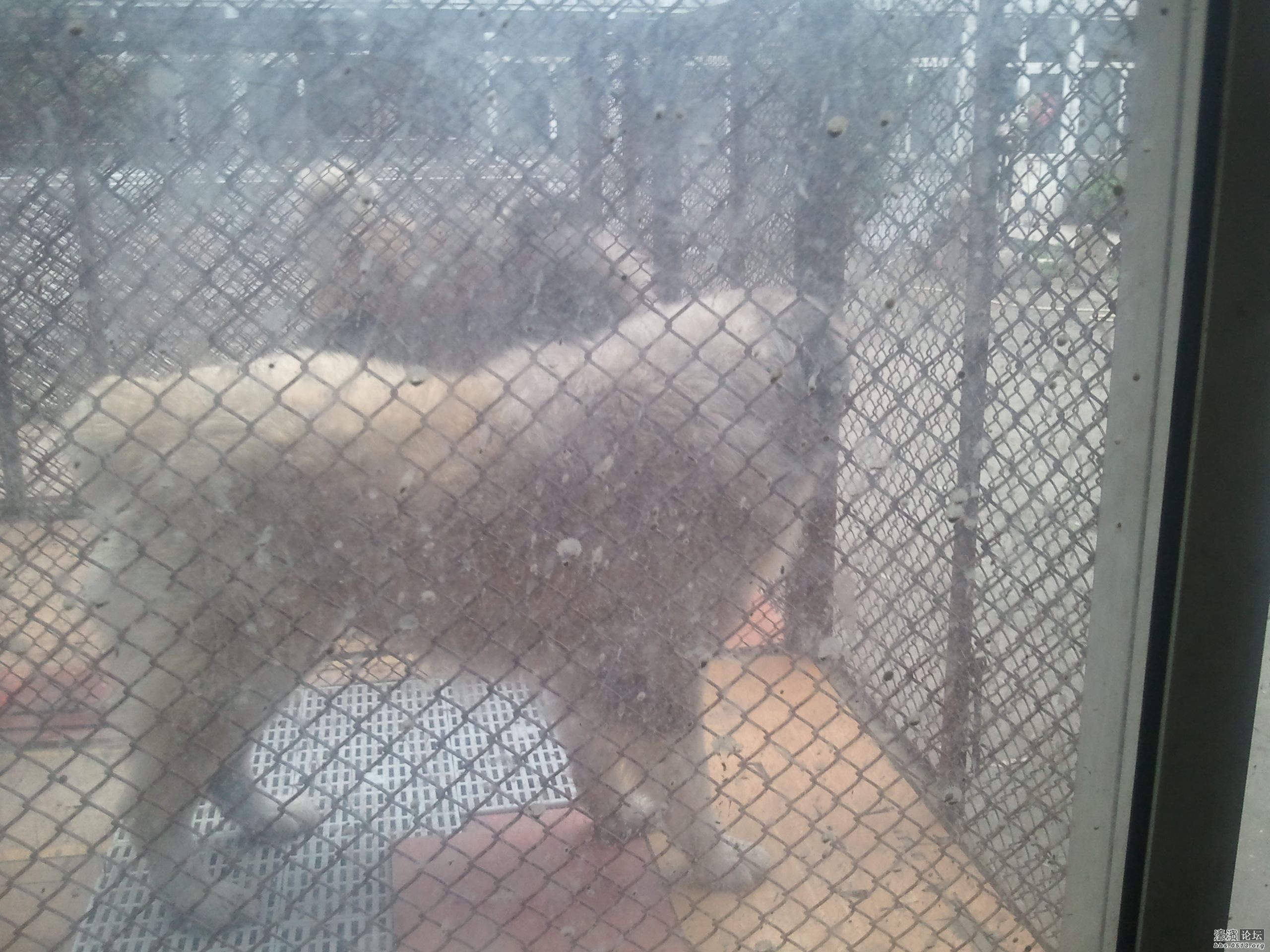 2012-04-19 17.07.37.jpg