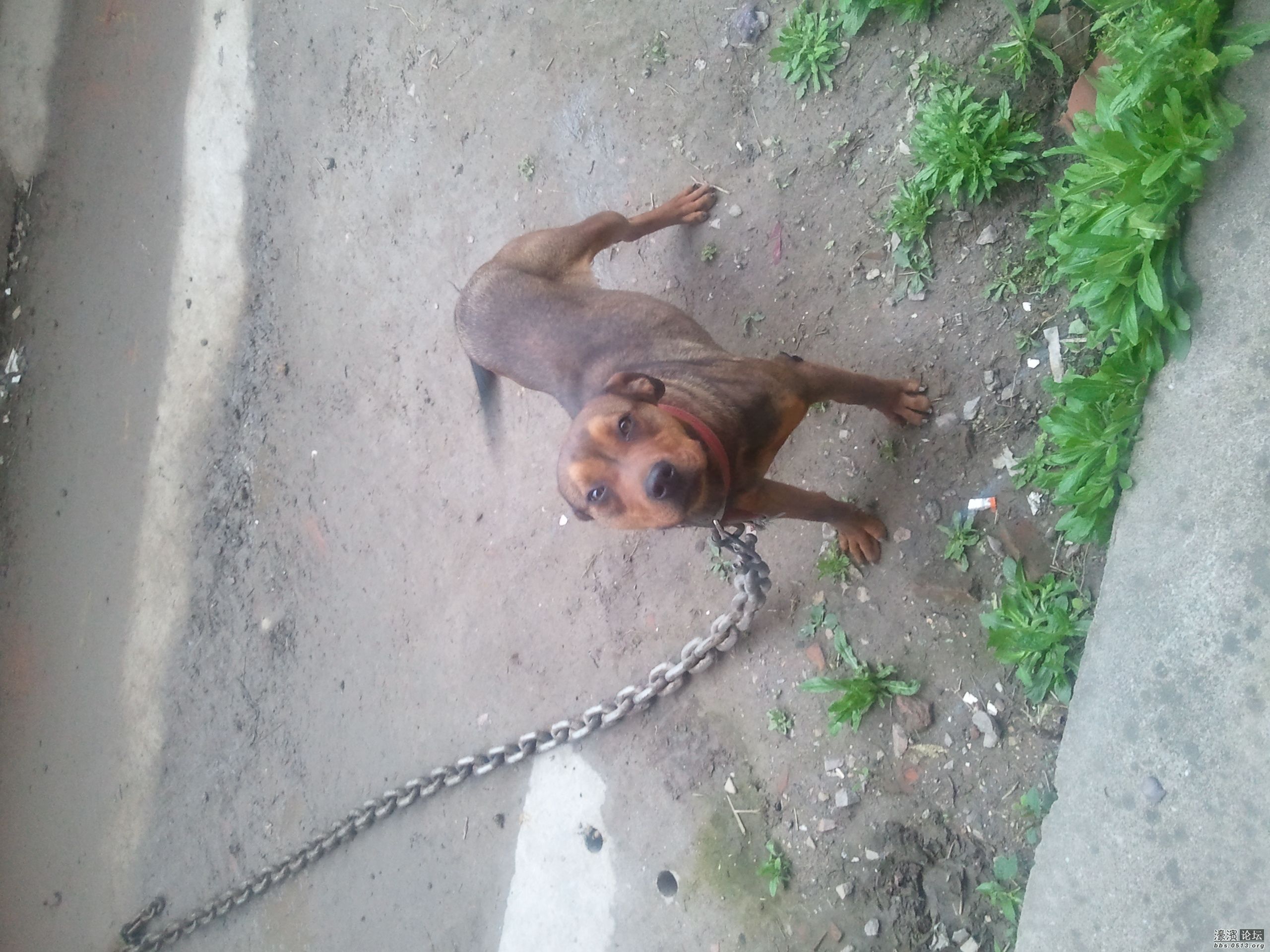 2012-04-19 17.15.37.jpg