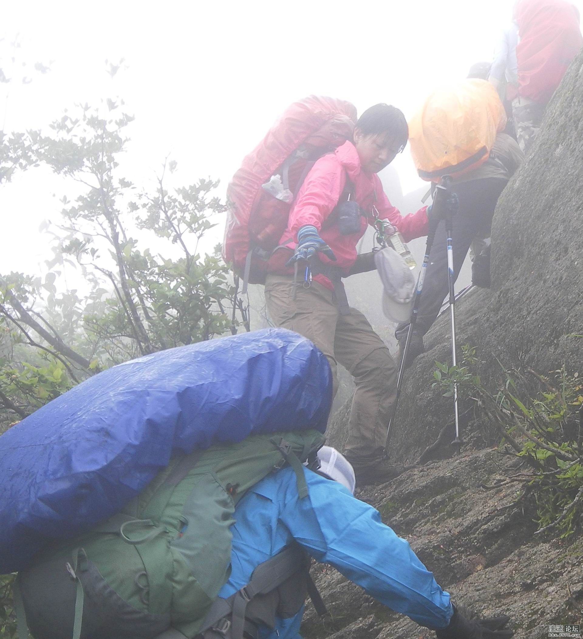 云随风动是个古道热肠的女熊猫