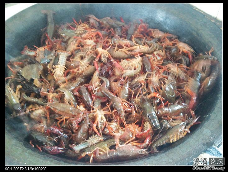 nEO_IMG_2012-05-27 11.04.41.jpg