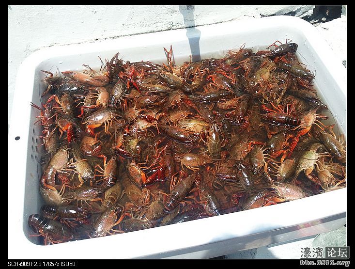 nEO_IMG_2012-05-27 10.57.12.jpg