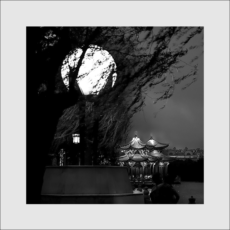 月光.jpg