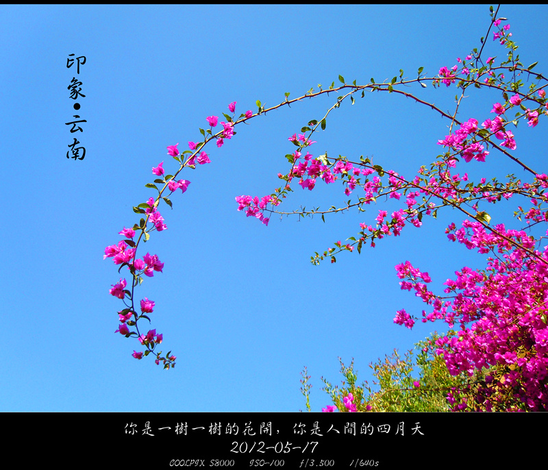 印象云南 (8)_副本.jpg