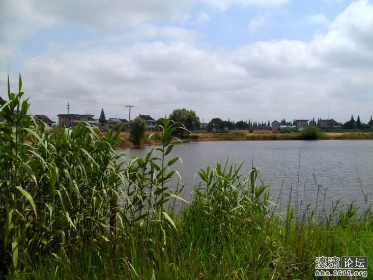 重新曝光 调整大小 IMG_1010.JPG