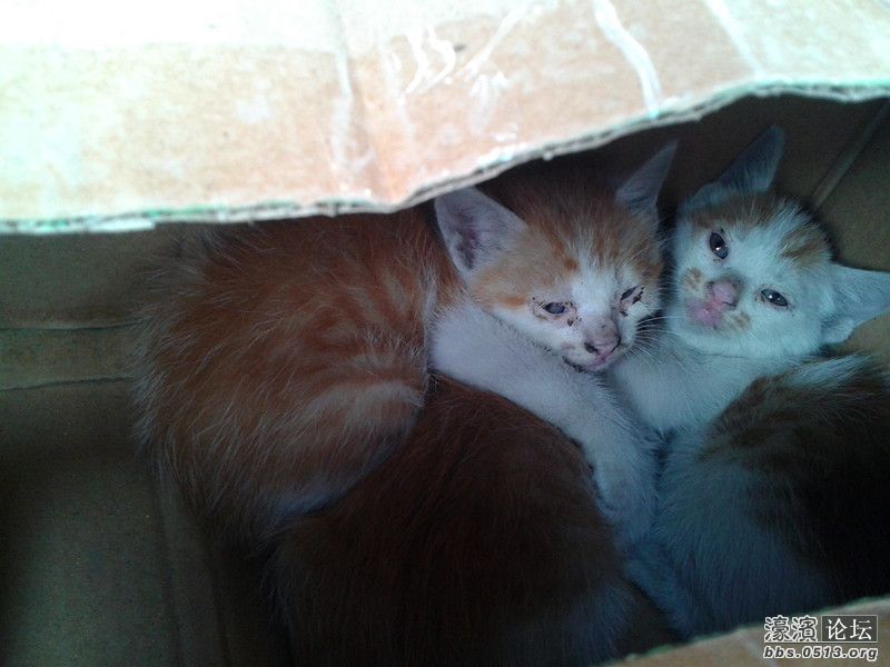 2012-06-03 08.38.09_副本.jpg