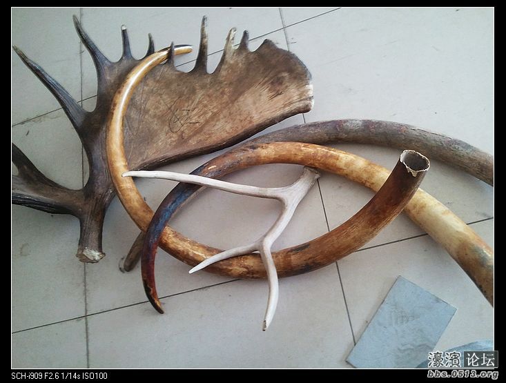 nEO_IMG_2012-06-03 12.40.06.jpg