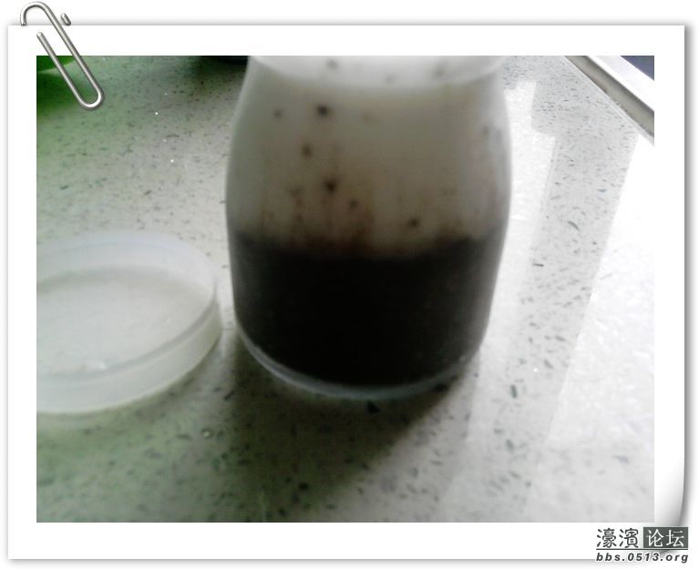 2012.06.03披萨 043.jpg