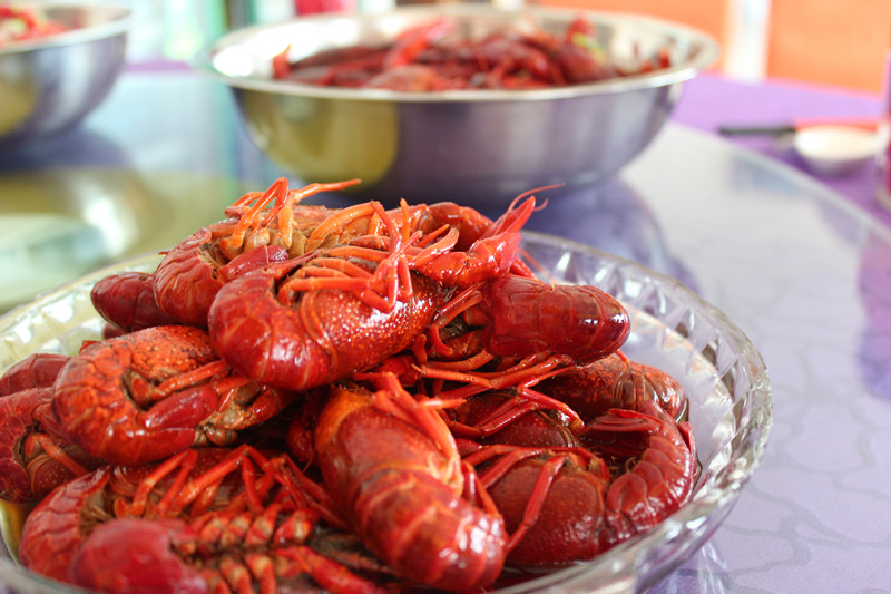 周周龙虾8.jpg