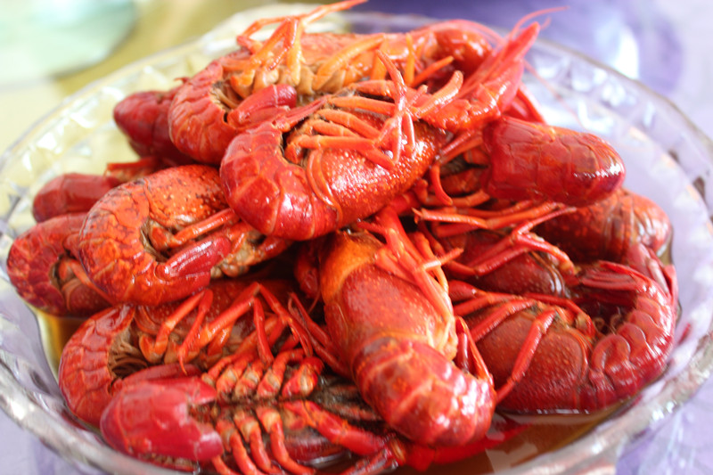 周周龙虾6.jpg