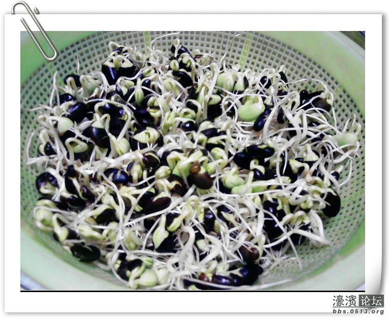 土司和拿铁2012.06.22 036.jpg