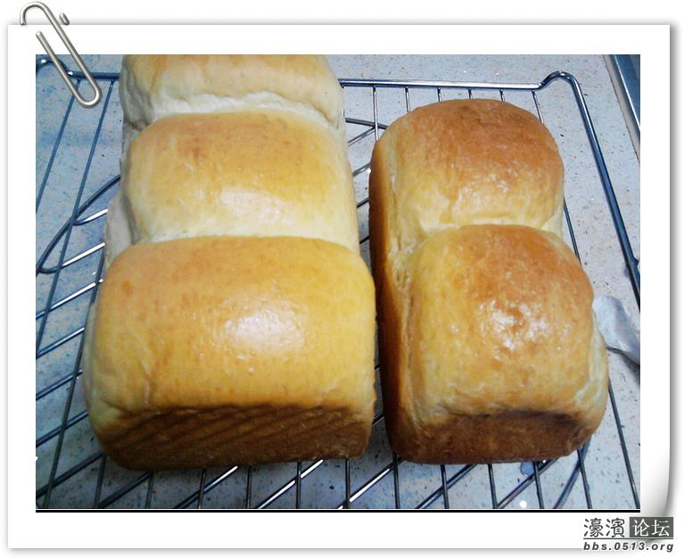 土司和拿铁2012.06.22 076.jpg