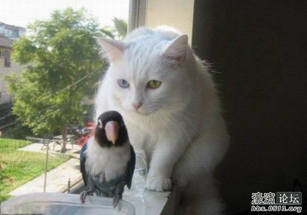 调整大小 9f1259d034d338da3488by1wL18RpKWa.jpg