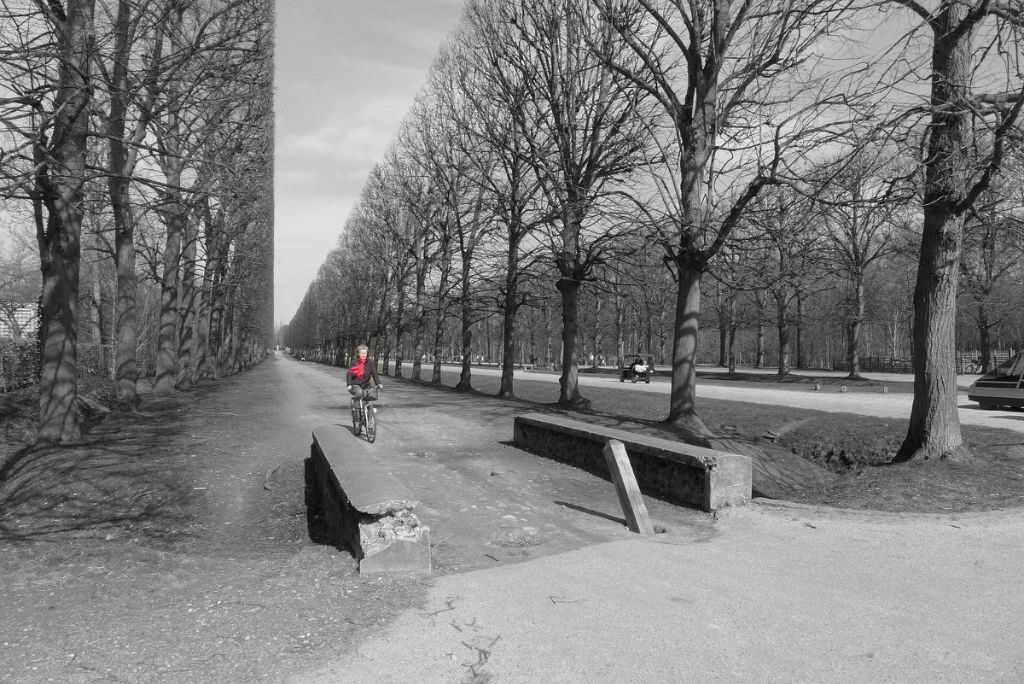 凡尔赛宫，那树修剪的痕迹，笔直的线。