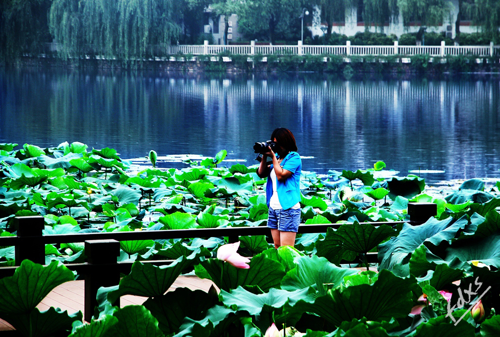 荷塘、赏荷07x.jpg
