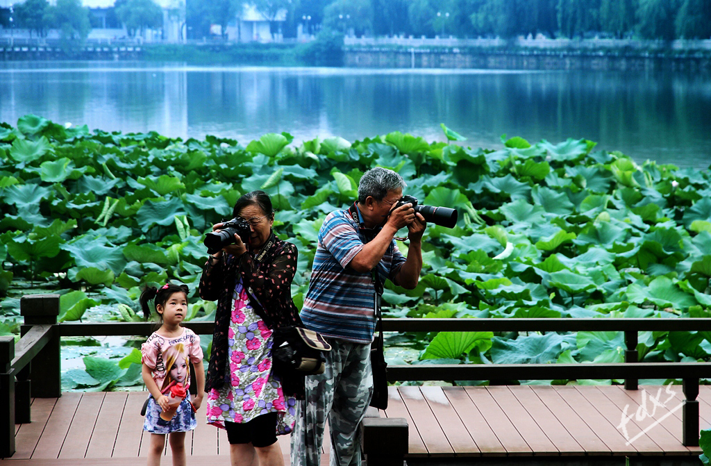 荷塘、赏荷09x.jpg