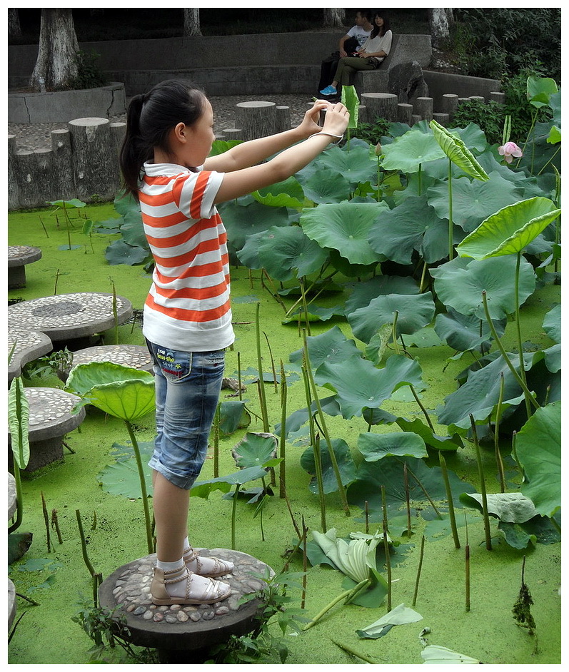 SAM_1553摄荷.jpg