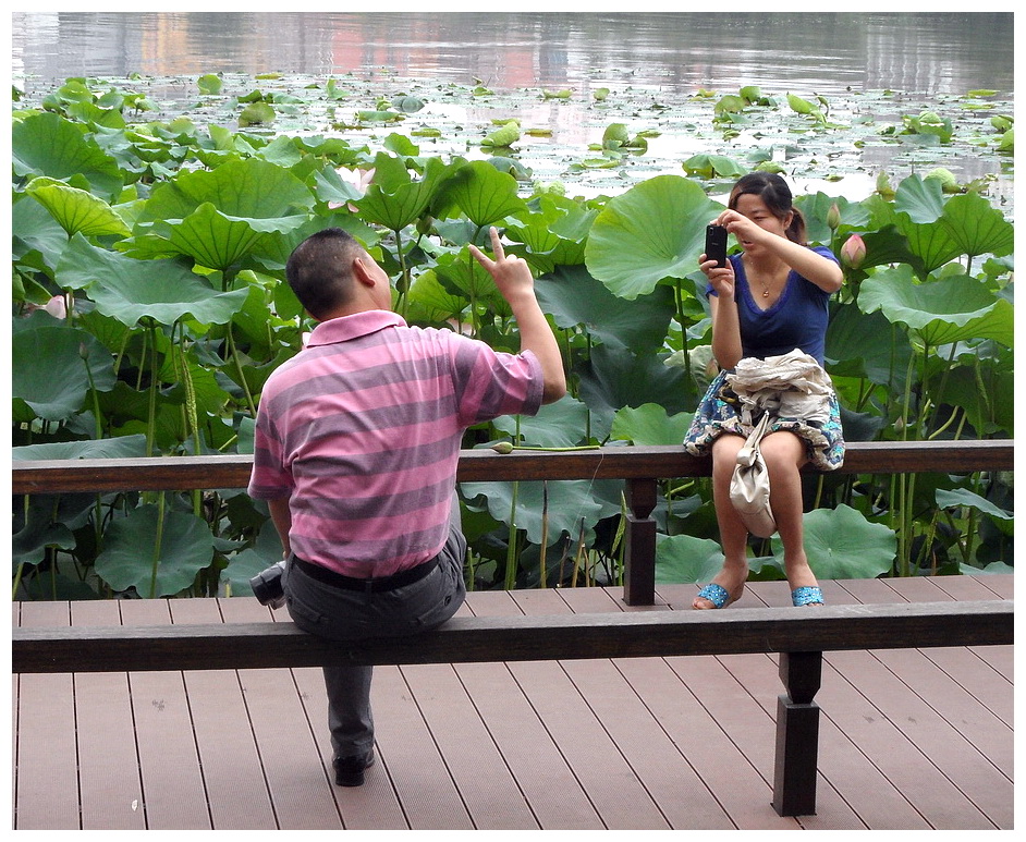 SAM_1496摄荷.jpg