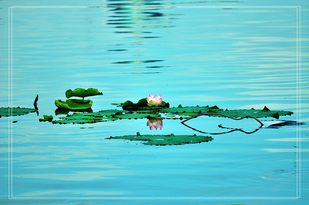 nEO_IMG_复件 DSC_2231.jpg