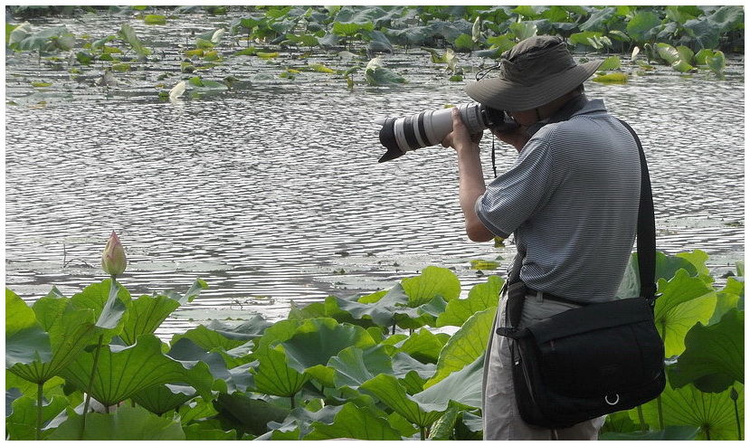 SAM_2327摄荷.jpg