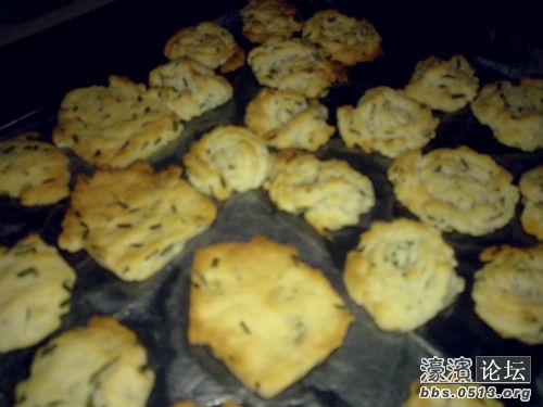 照片 003_副本.jpg