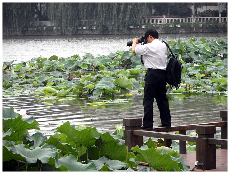 SAM_7021摄荷.jpg