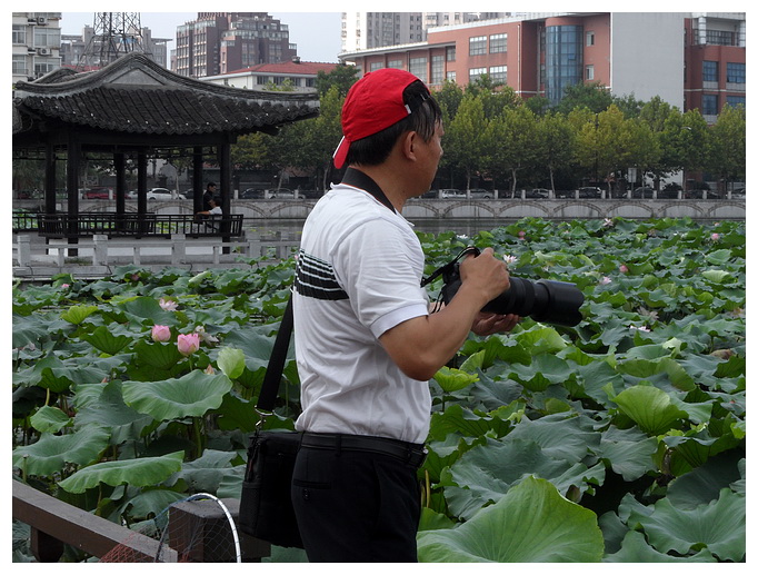 SAM_7080摄荷.jpg