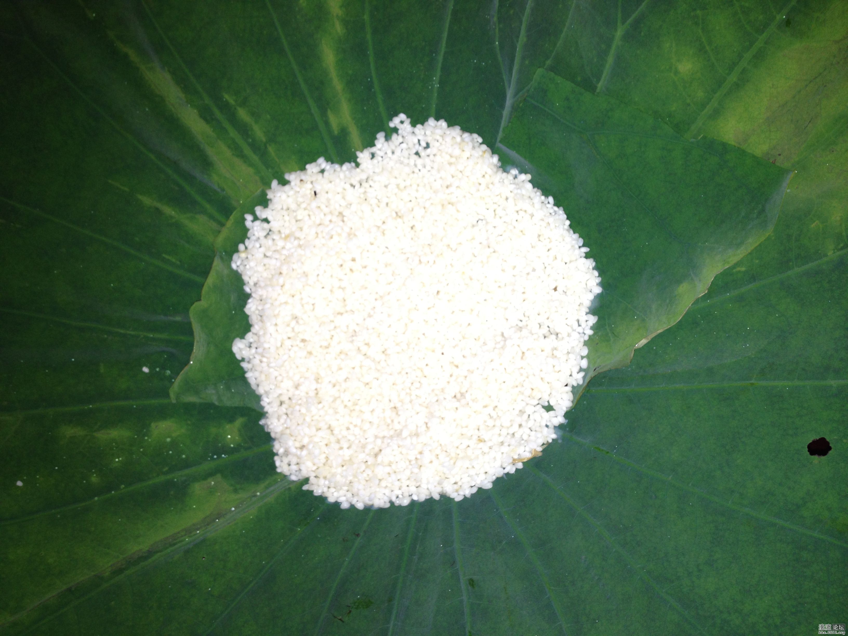 翡翠盘衬白珍珠。