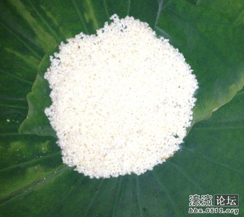 淘净的糯米放在碧绿的荷叶上，好像珍珠撒在翡翠盘上！