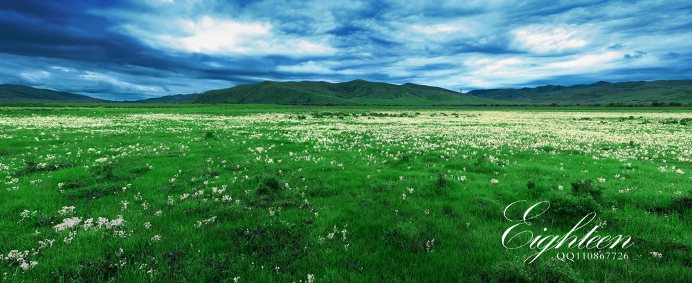 草原1.jpg