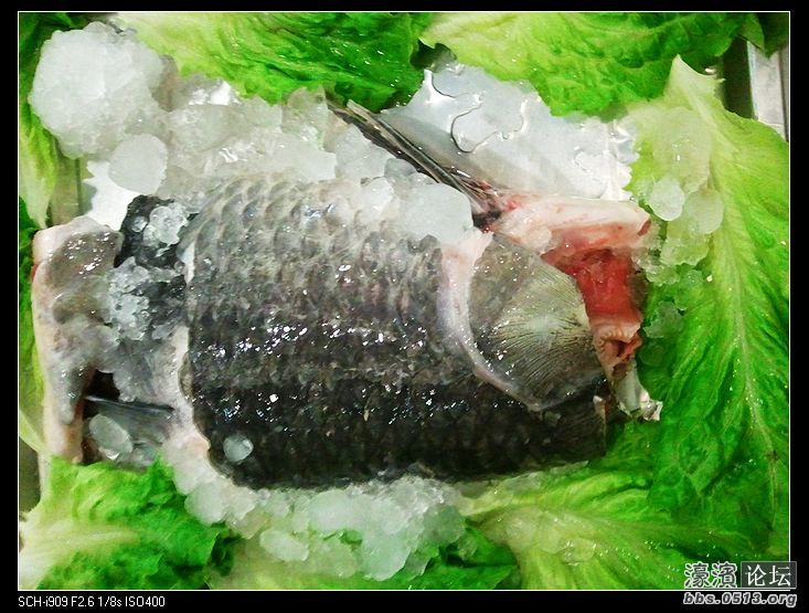 nEO_IMG_2012-08-24 17.19.31.jpg