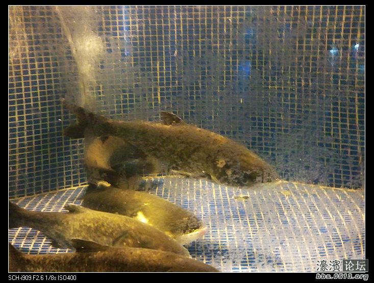 nEO_IMG_2012-08-24 17.14.54.jpg