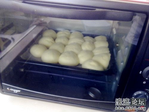 照片 005_副本.jpg