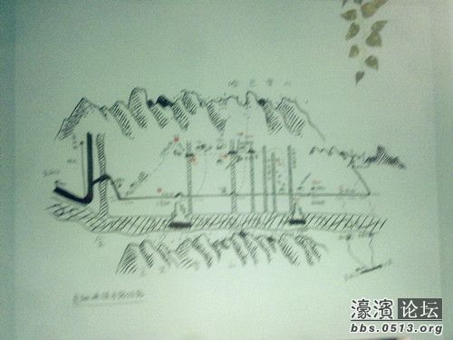 照片 016_副本.jpg