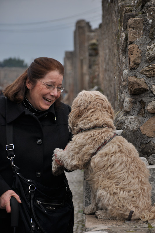 这里有不下几十条流浪狗，但被照料得很好，脖子上都挂有免疫标识。