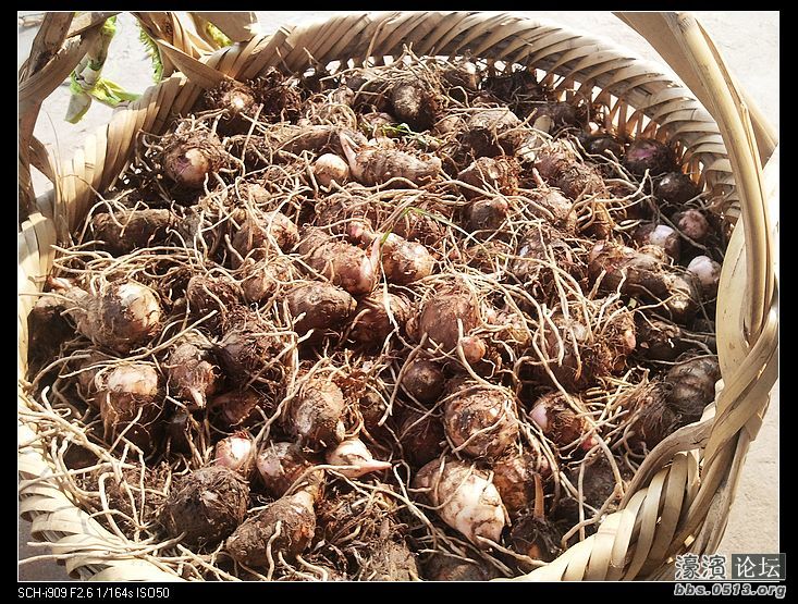 nEO_IMG_2012-09-23 15.33.20.jpg