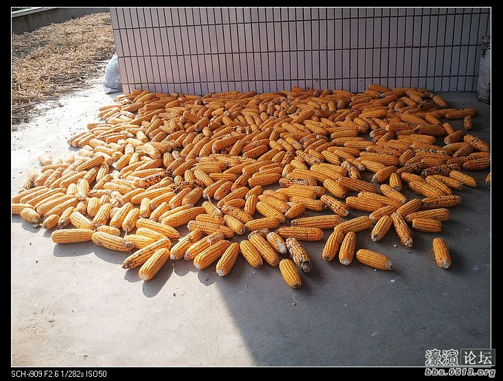 nEO_IMG_2012-09-23 15.32.32.jpg