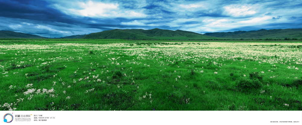 草原1.jpg