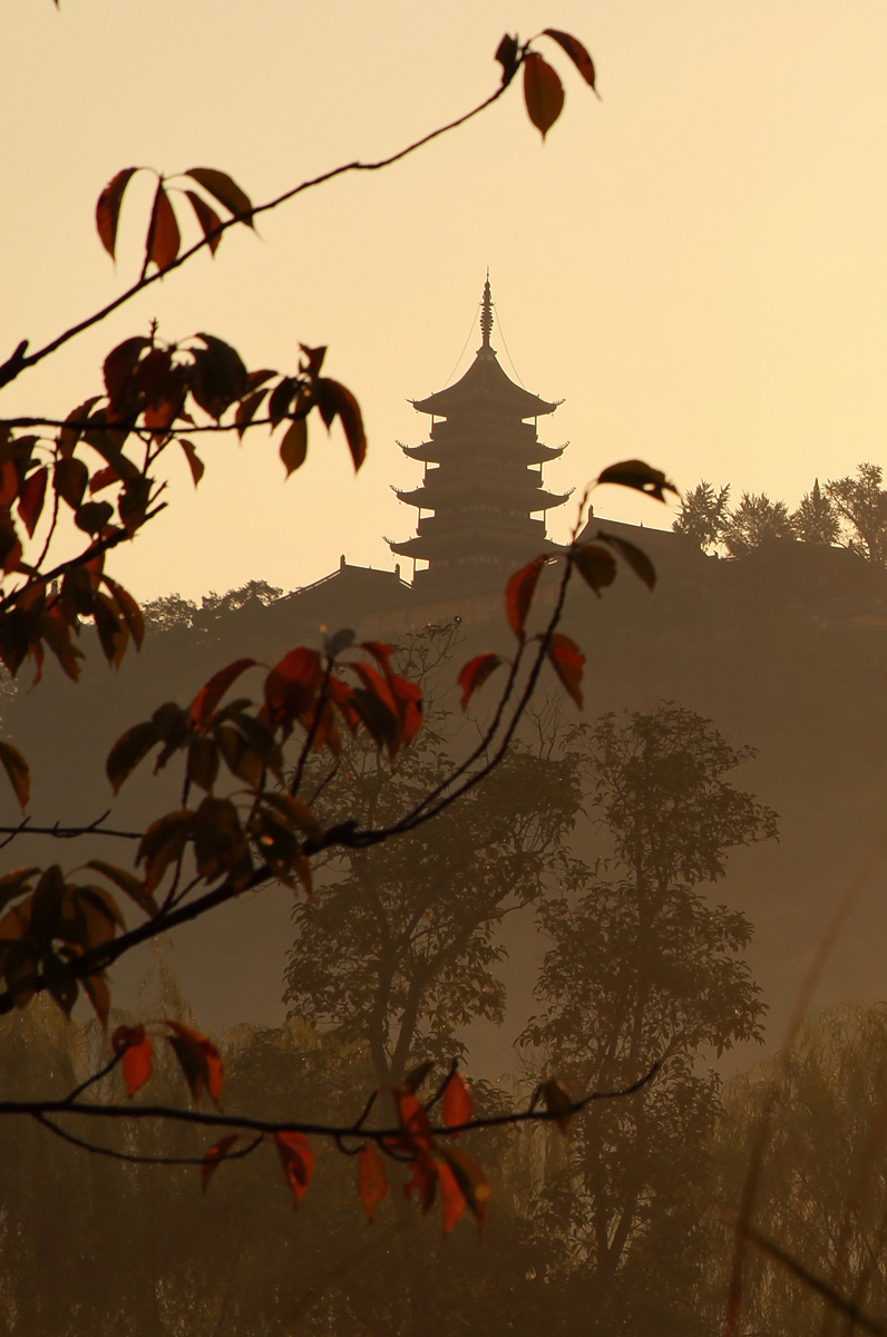 博园无处不见山 (1).jpg