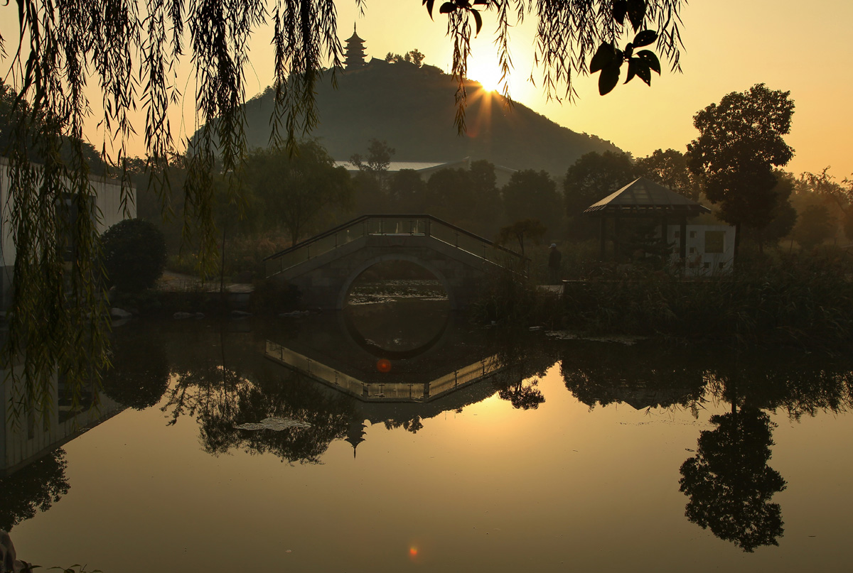 博园无处不见山 (2).jpg