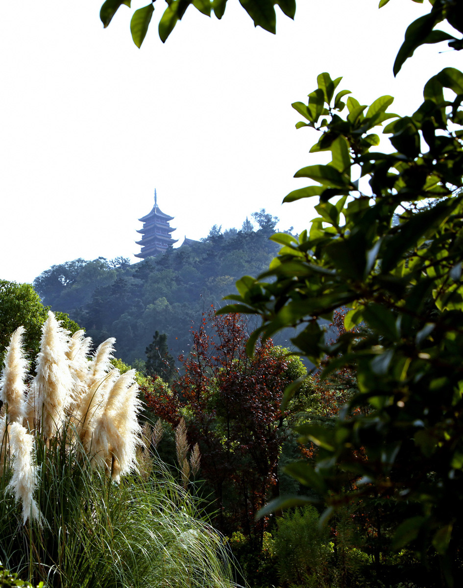 博园无处不见山 (6).jpg