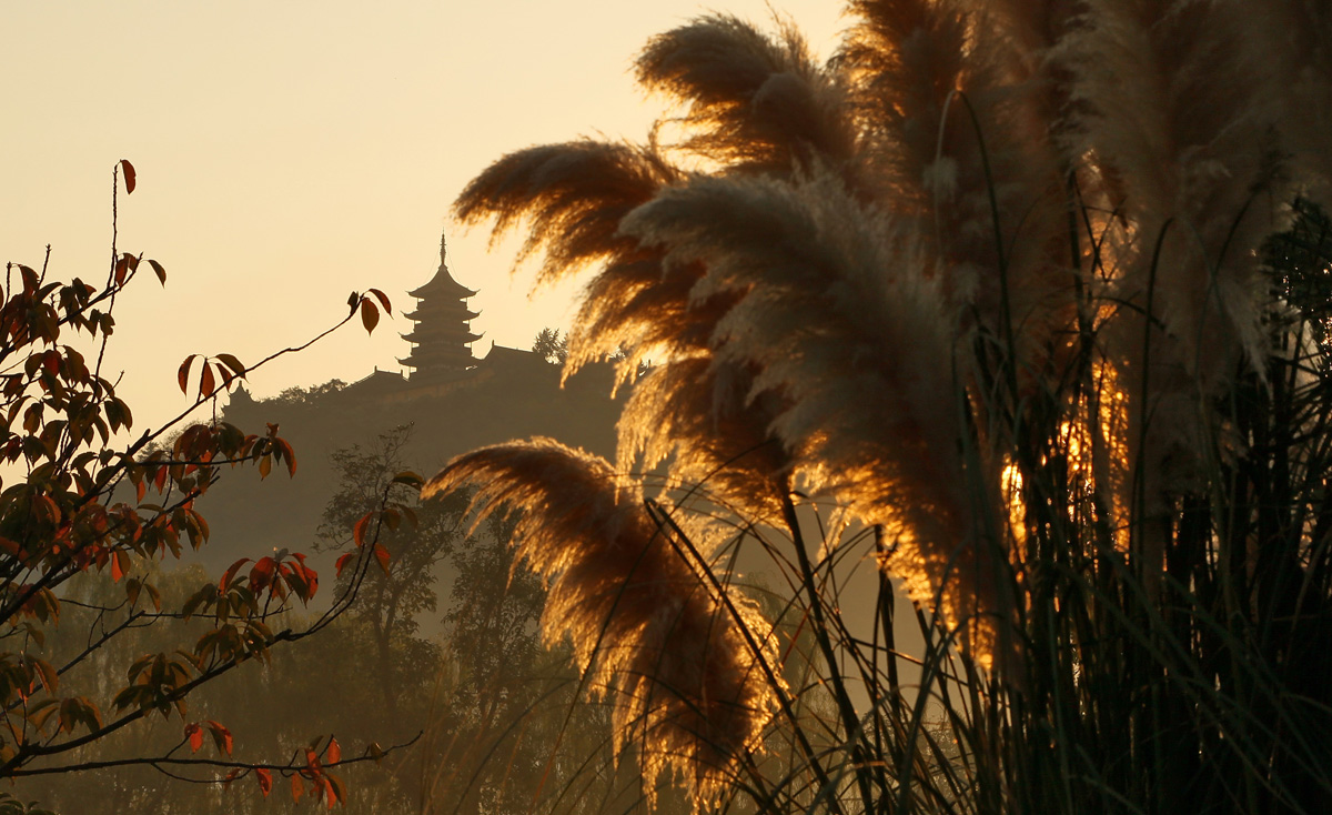 博园无处不见山 (8).jpg