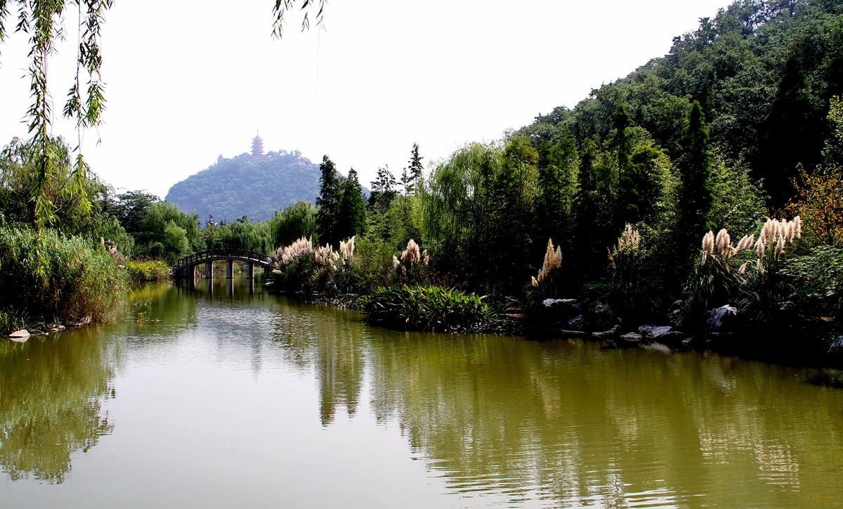 博园无处不见山 (9).jpg