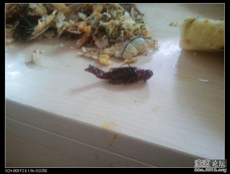 nEO_IMG_2012-10-04 12.47.51.jpg