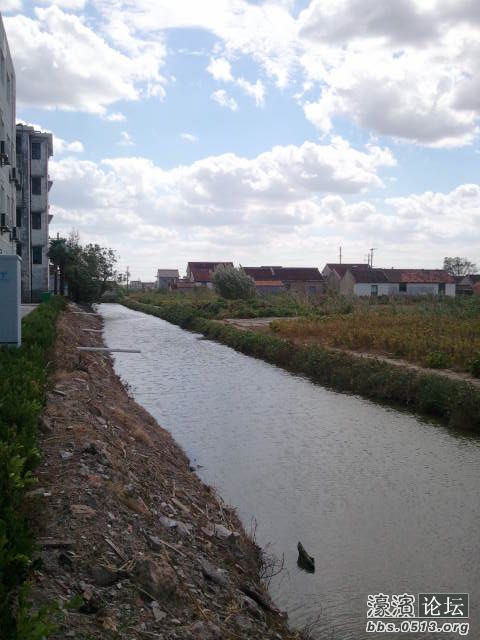 西边的河小了很多 没了河边的树和芦苇