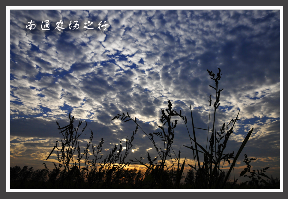 南通农场之行 (2).jpg