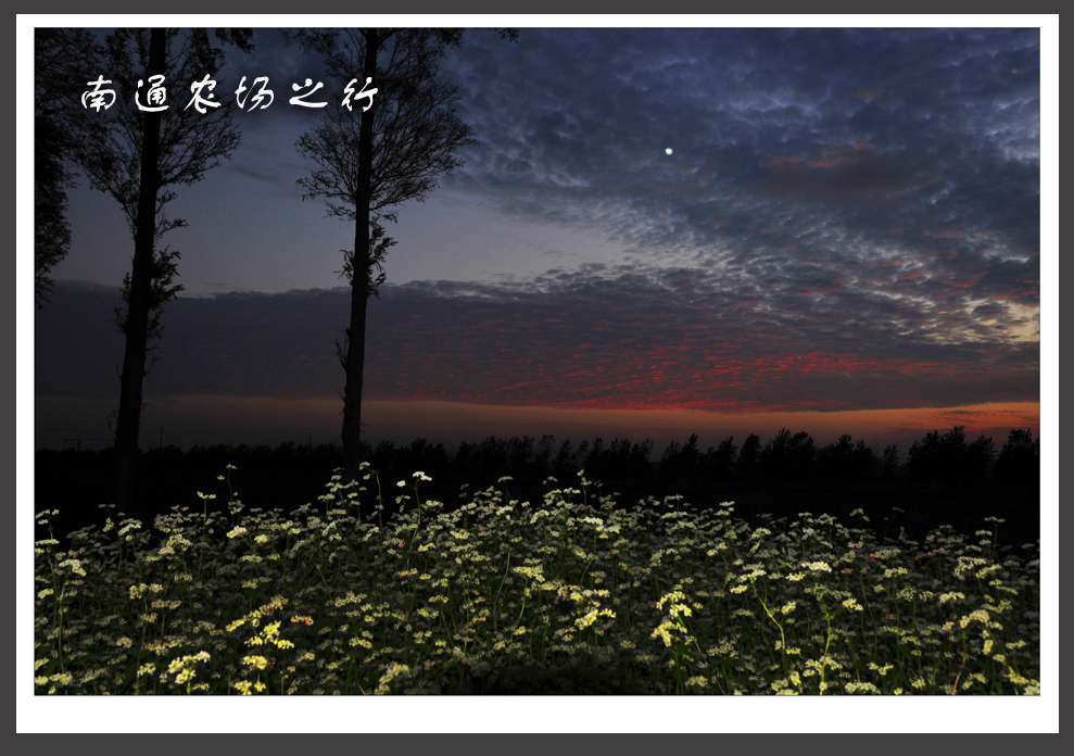 南通农场之行 (3).jpg