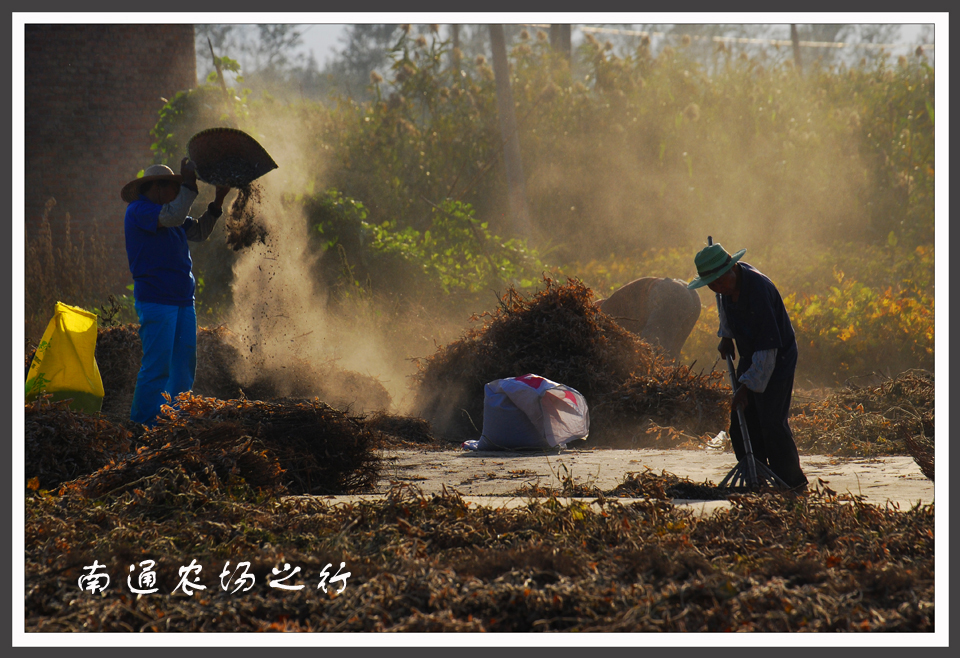 南通农场之行 (5).jpg