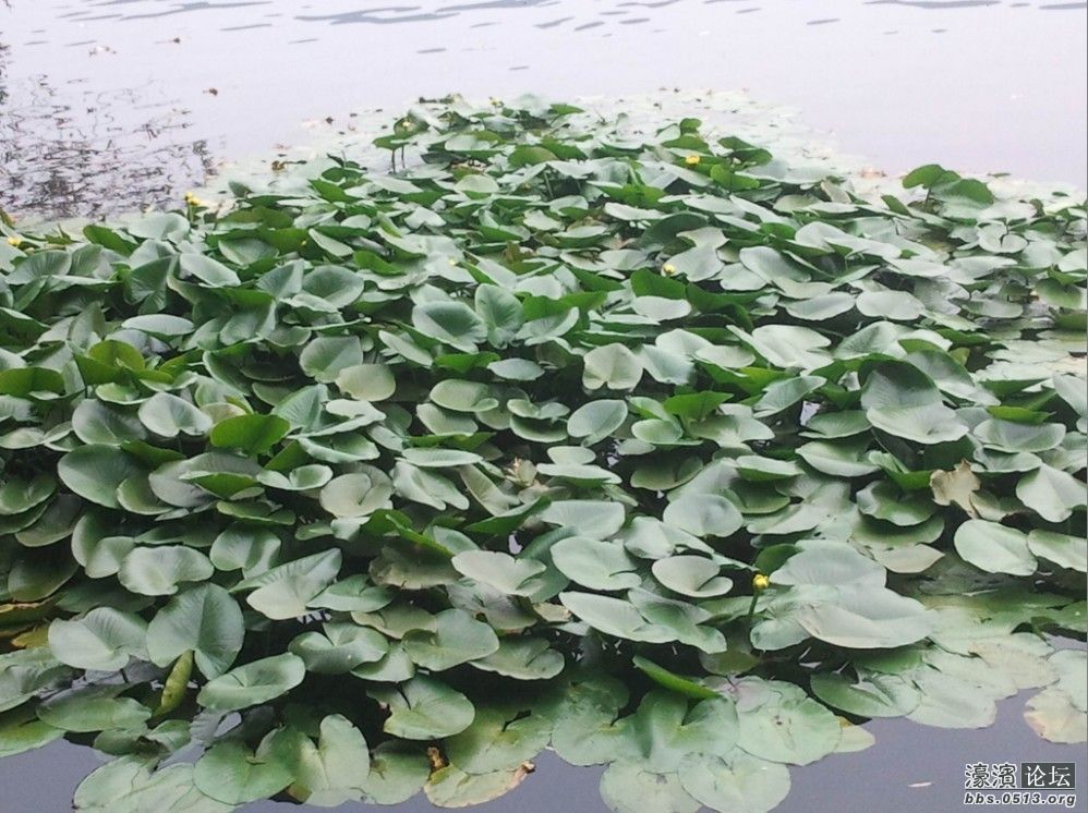 2012-10-05 15.11.56.jpg